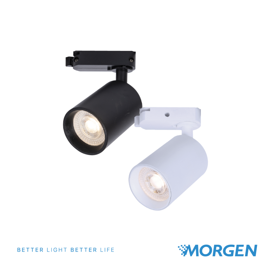 FIXTURE TRACK LIGHT T2