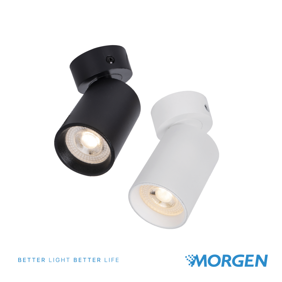 FIXTURE TRACK LIGHT T3