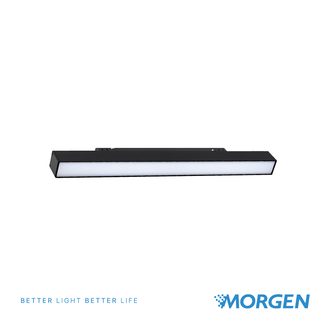 LED MAGNETIC FLOOD LIGHT