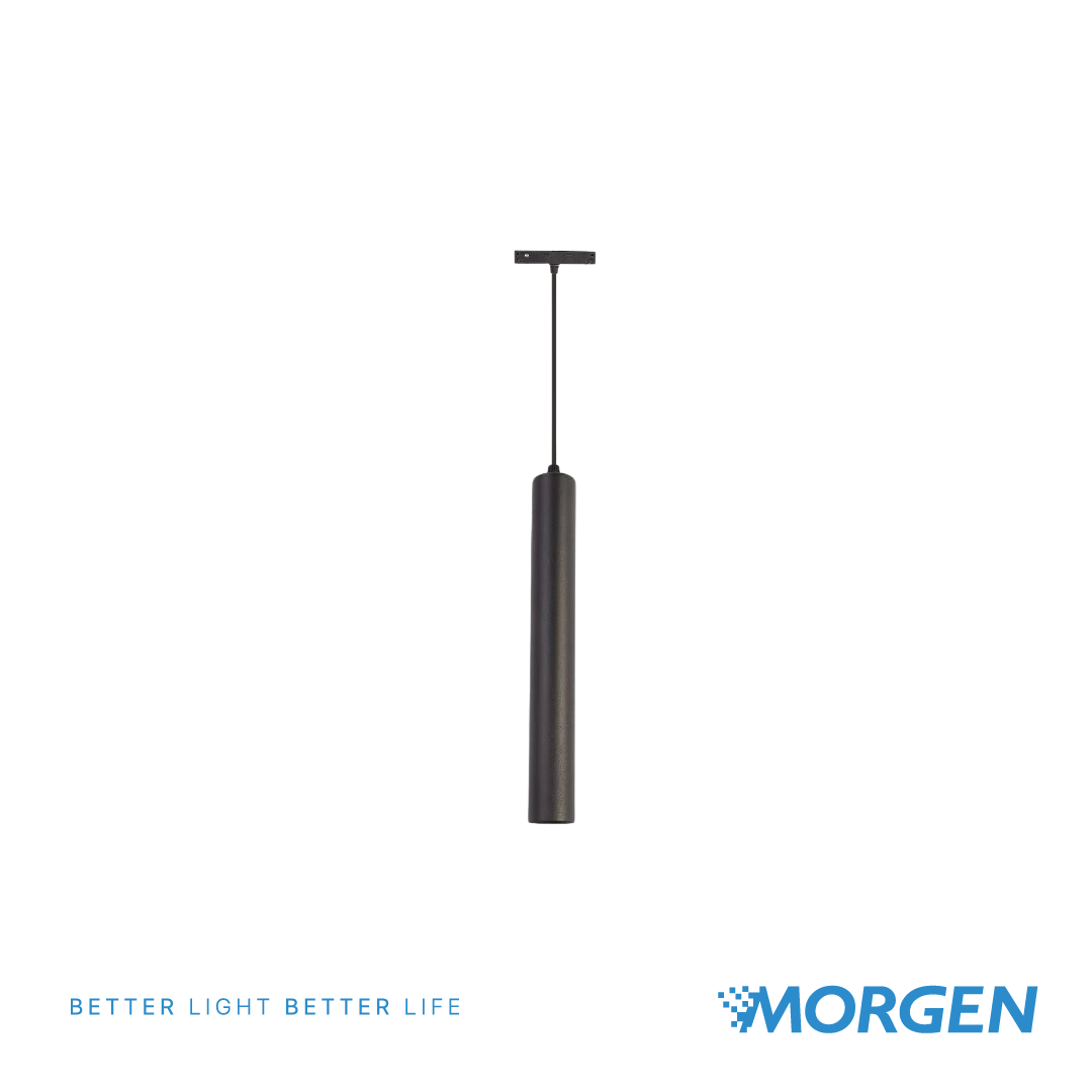 LED MAGNETIC HANGING LIGHT