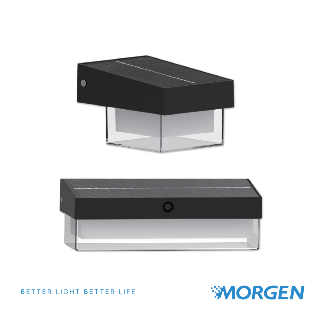 New Item 2025 Q2_LED DOWNLIGHT SPOT ADJUSTABLE IB-19