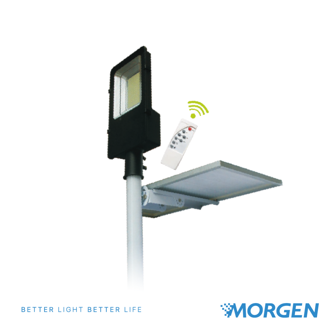 Solar Street Light SSL