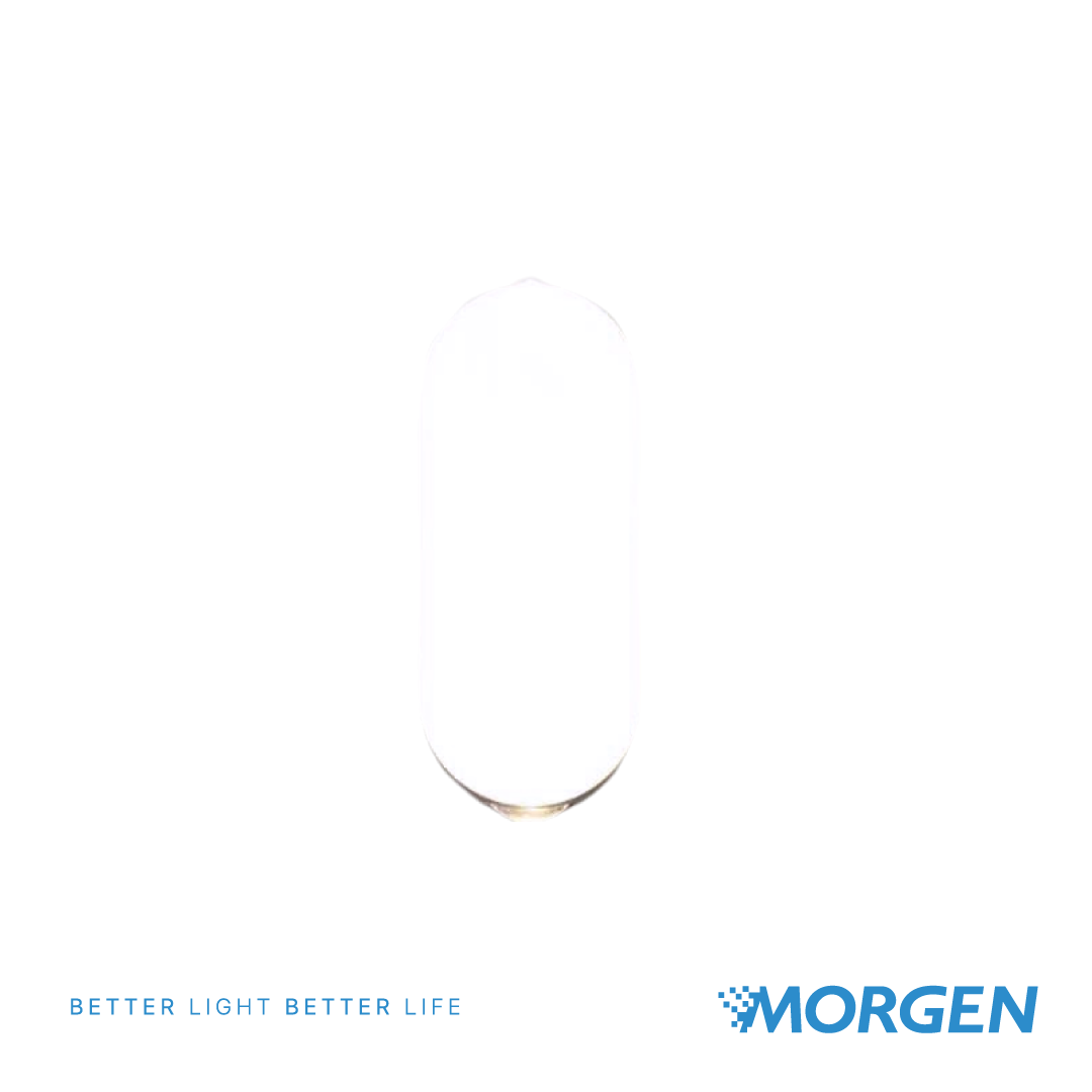 WALL BODY LIGHT OVAL